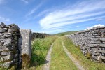 Images for Middle Scales, Chapel Le Dale