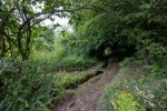 Images for Ashcroft, Newby, Clapham